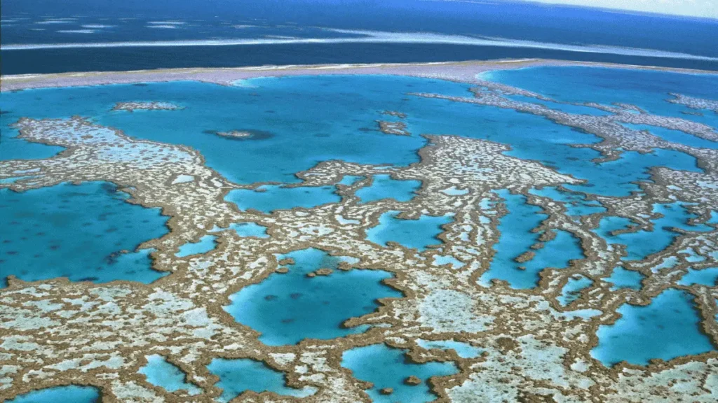 imagen de la gran barrera de coral